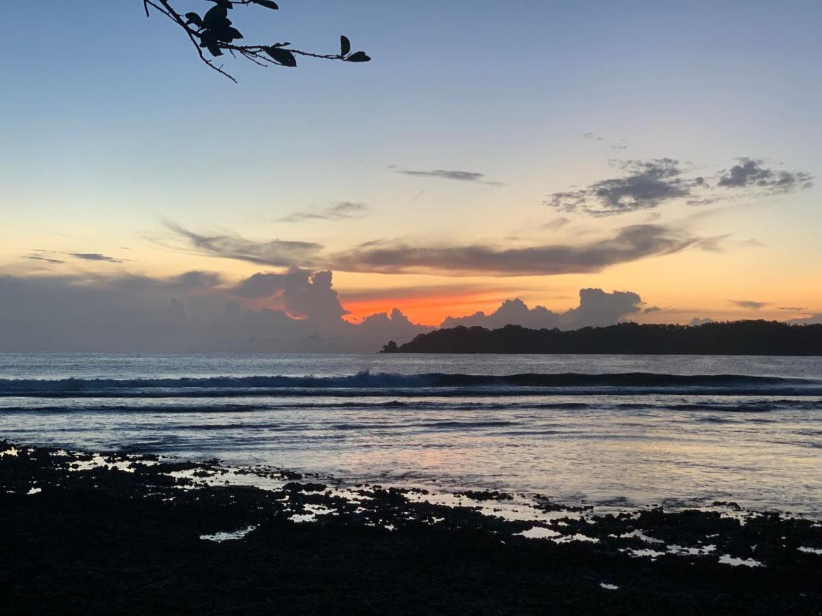 Surf Camp Hotel Bocas del Toro Eksteriør billede