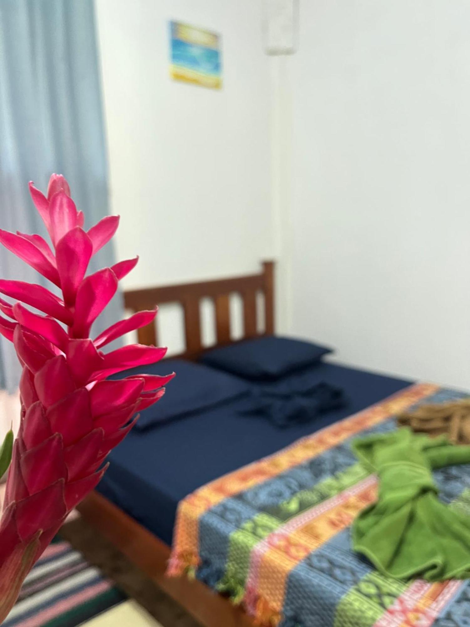 Surf Camp Hotel Bocas del Toro Eksteriør billede