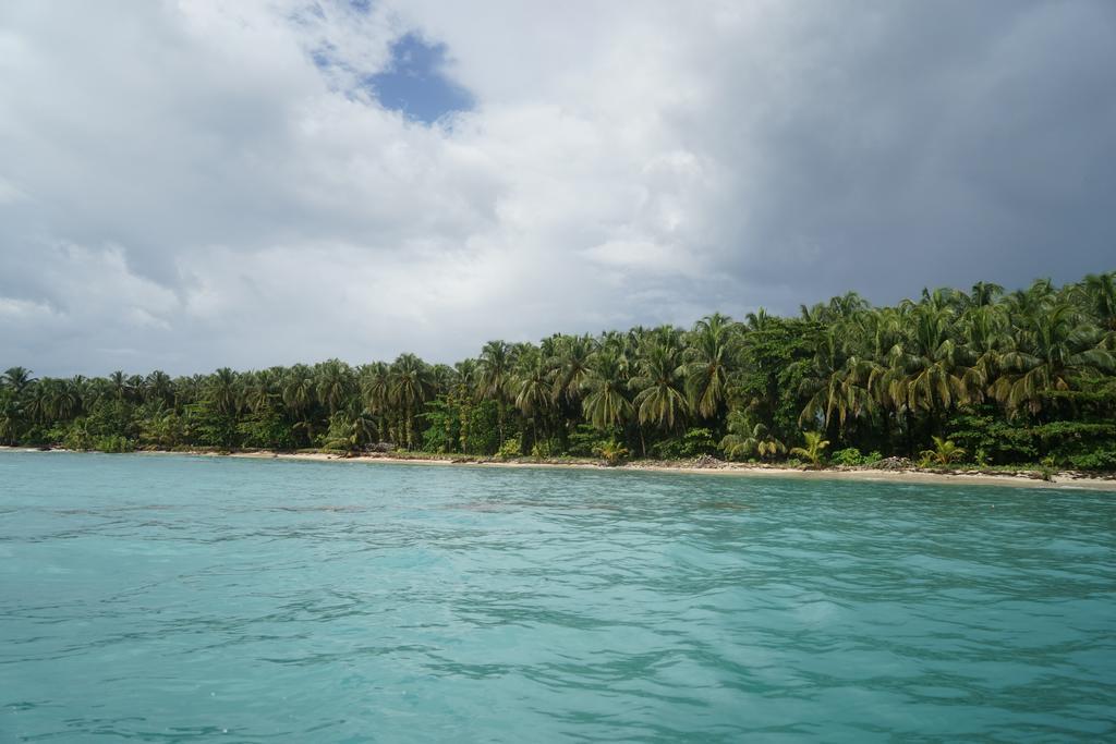 Surf Camp Hotel Bocas del Toro Eksteriør billede