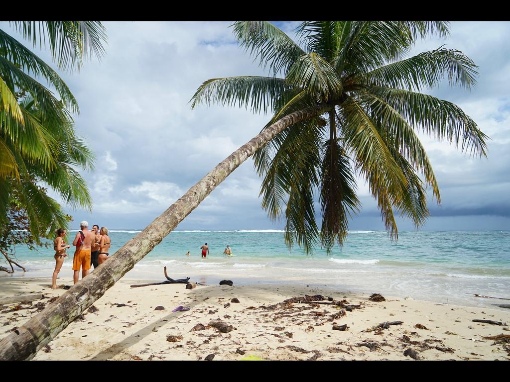 Surf Camp Hotel Bocas del Toro Eksteriør billede
