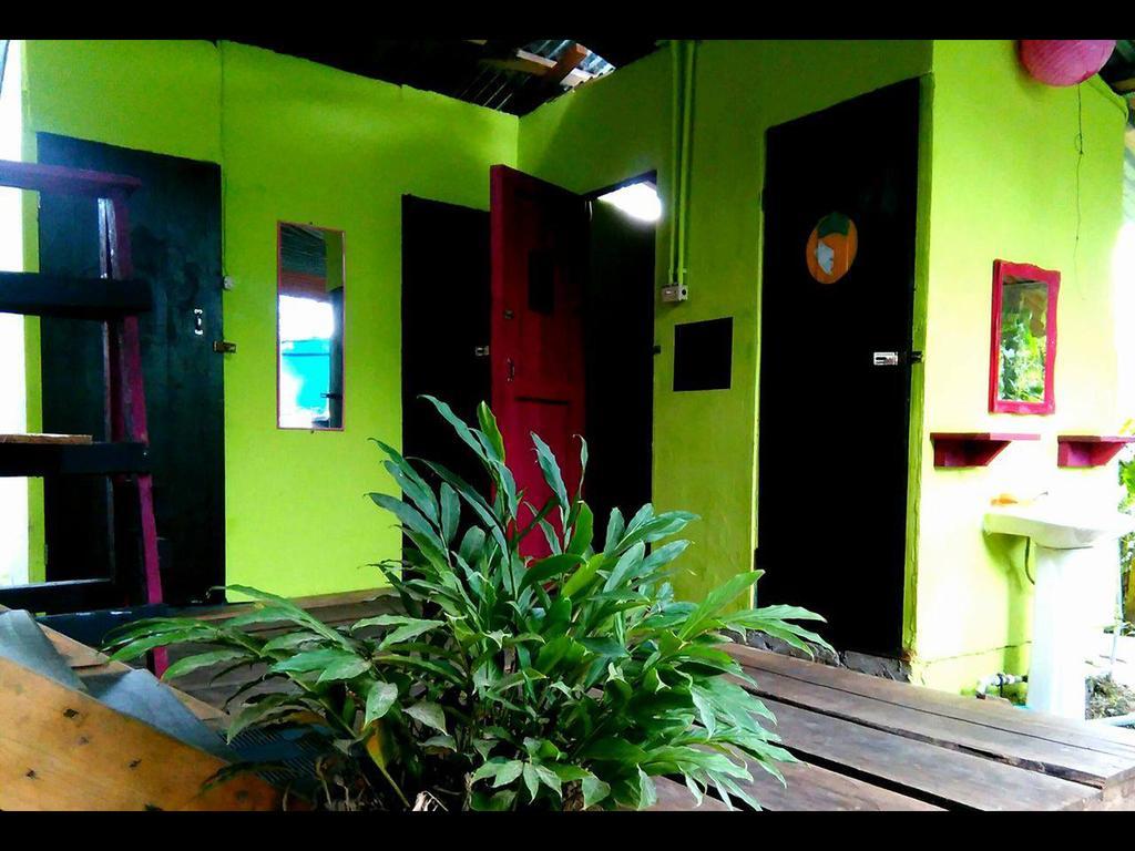 Surf Camp Hotel Bocas del Toro Eksteriør billede