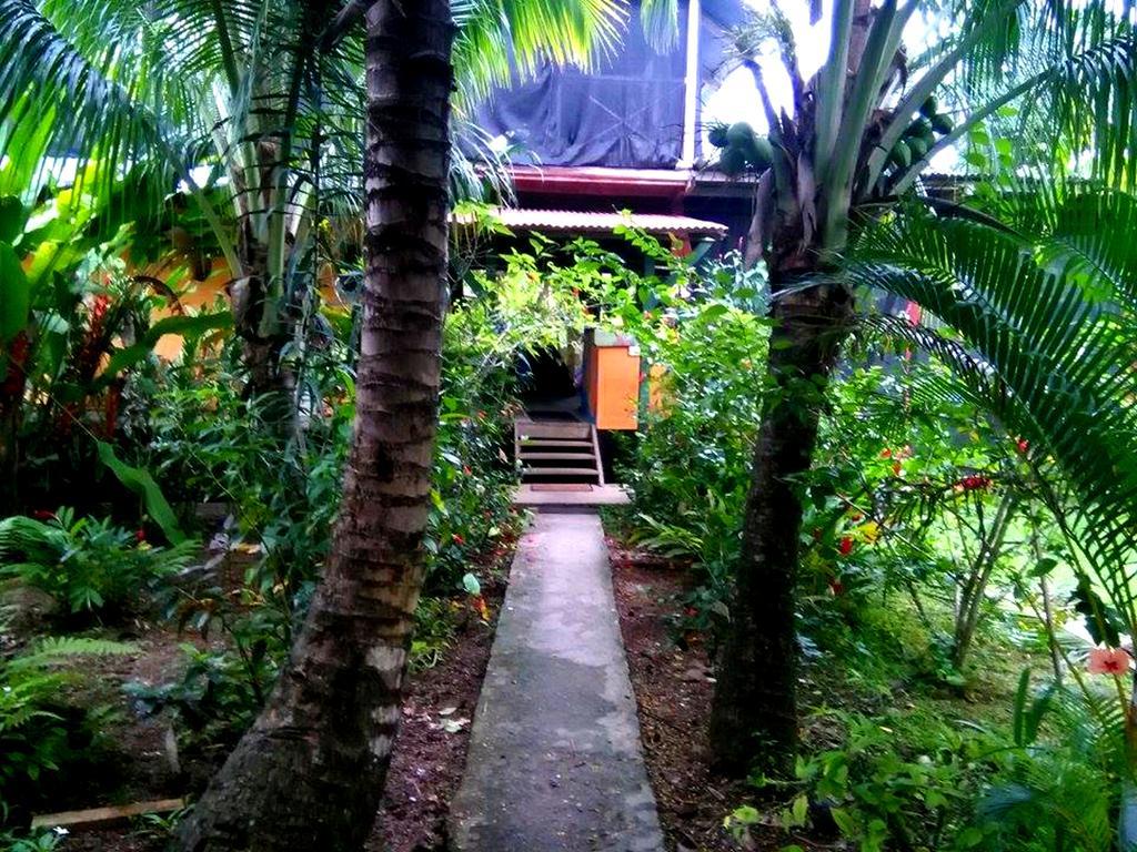 Surf Camp Hotel Bocas del Toro Eksteriør billede